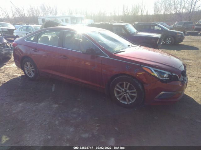 HYUNDAI SONATA 2015 5npe24af0fh211141