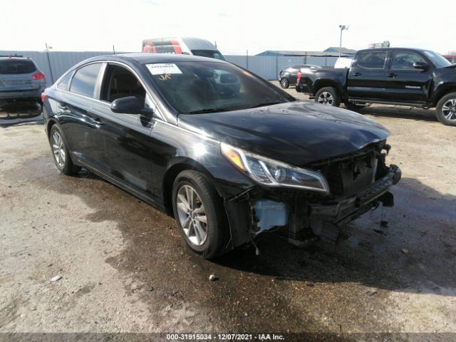 HYUNDAI SONATA 2015 5npe24af0fh211804