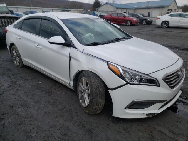 HYUNDAI SONATA SE 2015 5npe24af0fh213990