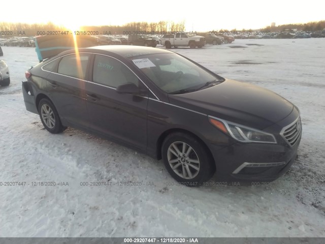 HYUNDAI SONATA 2015 5npe24af0fh216033