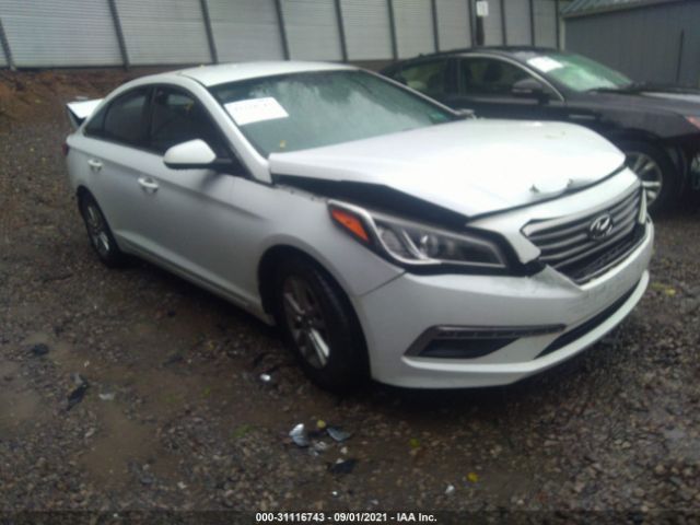 HYUNDAI SONATA 2015 5npe24af0fh216145