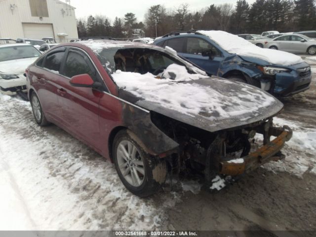 HYUNDAI SONATA 2015 5npe24af0fh226402