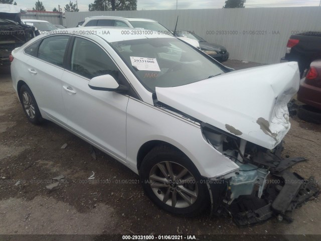 HYUNDAI SONATA 2015 5npe24af0fh228845