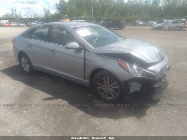 HYUNDAI SONATA 2015 5npe24af0fh229736