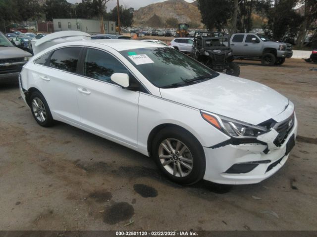 HYUNDAI SONATA 2015 5npe24af0fh231079