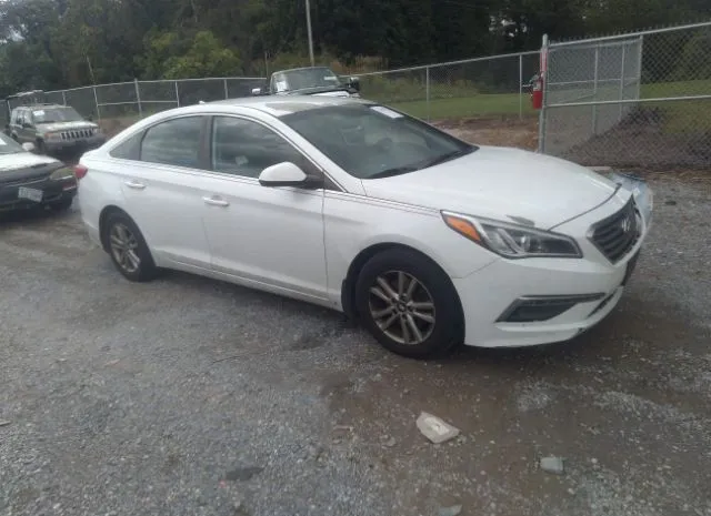 HYUNDAI SONATA 2015 5npe24af0fh236444