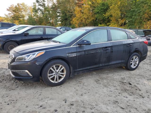 HYUNDAI SONATA SE 2015 5npe24af0fh245788