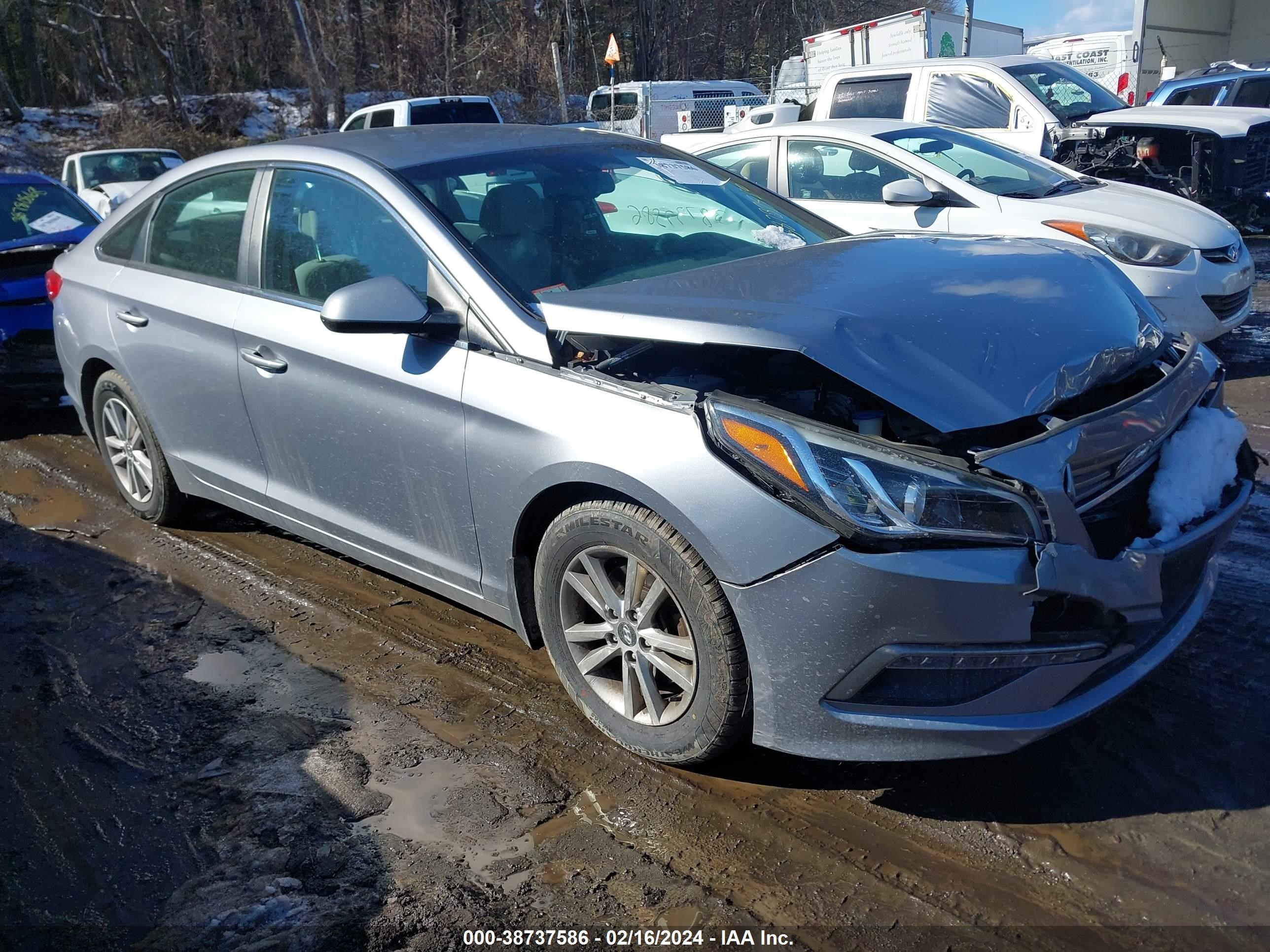 HYUNDAI SONATA 2015 5npe24af0fh246441