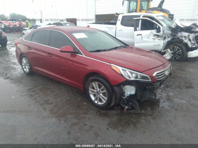 HYUNDAI SONATA 2015 5npe24af0fh249274