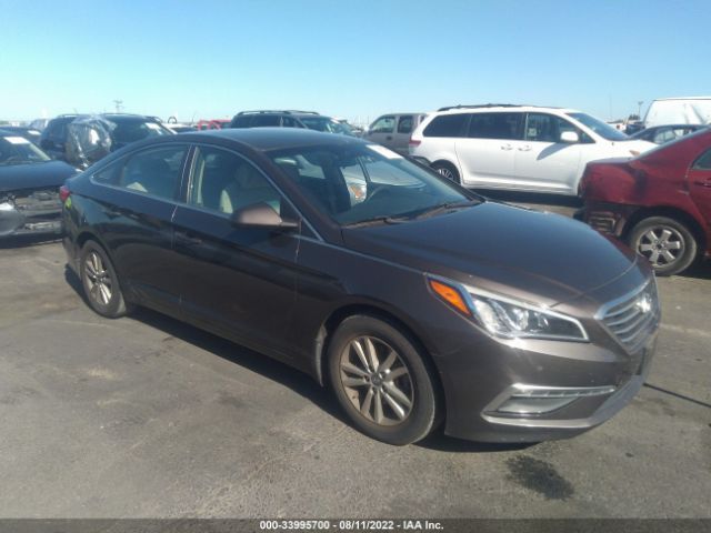 HYUNDAI SONATA 2015 5npe24af0fh249937