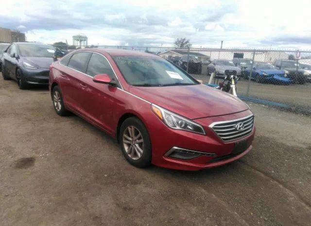 HYUNDAI SONATA 2015 5npe24af0fh255835