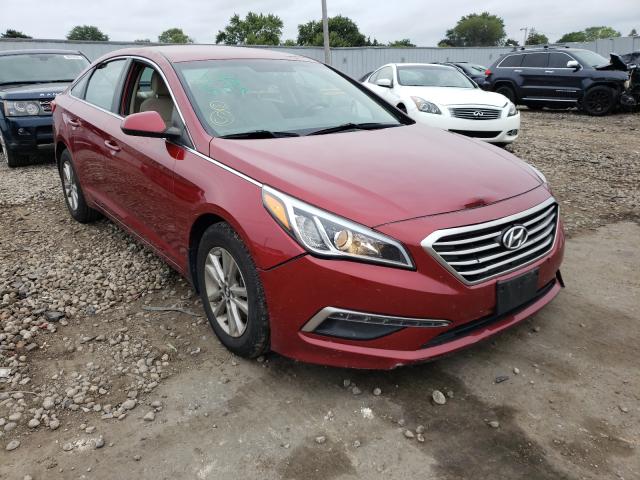 HYUNDAI SONATA 2015 5npe24af0fh256824