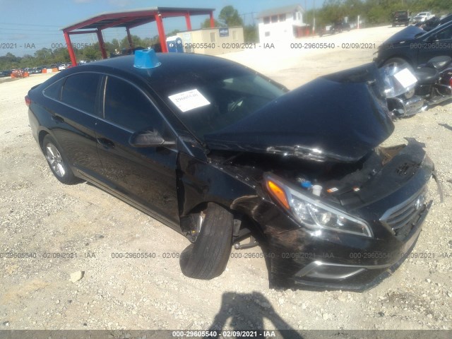 HYUNDAI SONATA 2016 5npe24af0gh261653