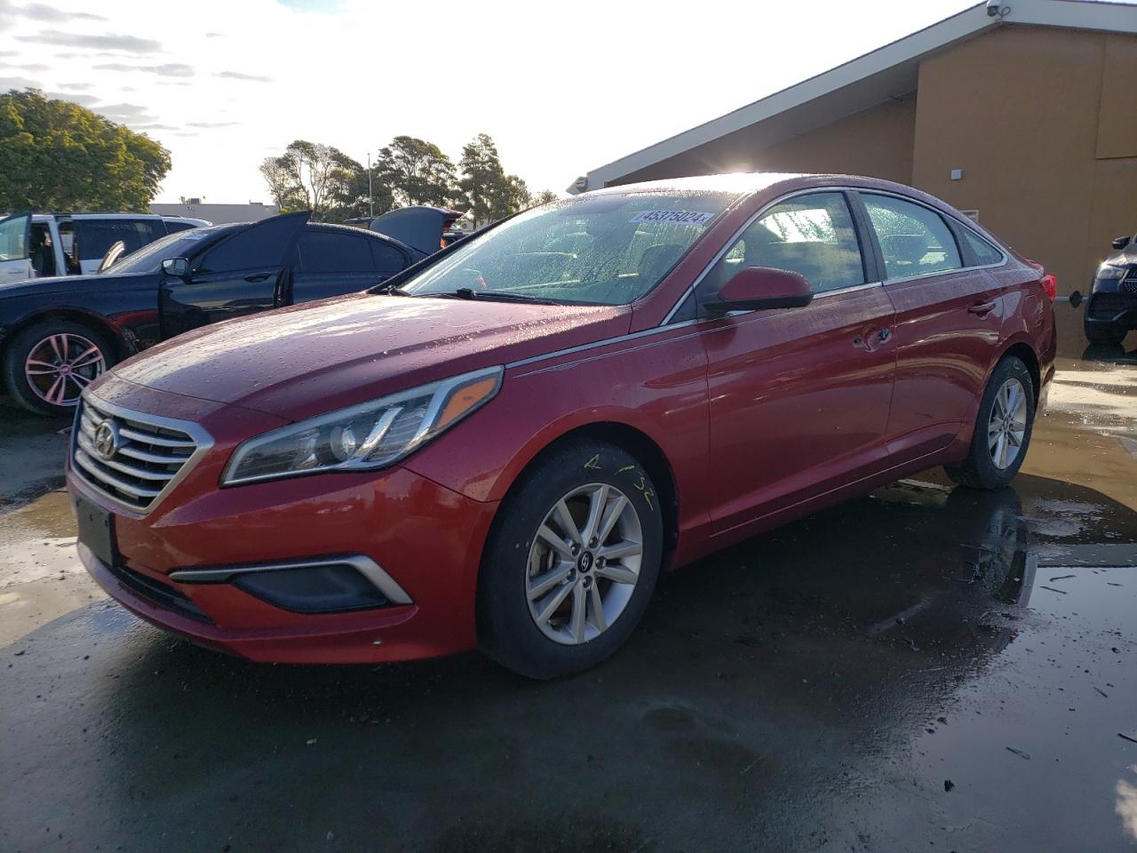 HYUNDAI SONATA 2016 5npe24af0gh269493