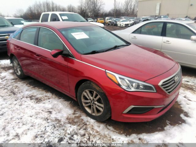 HYUNDAI SONATA 2016 5npe24af0gh292255