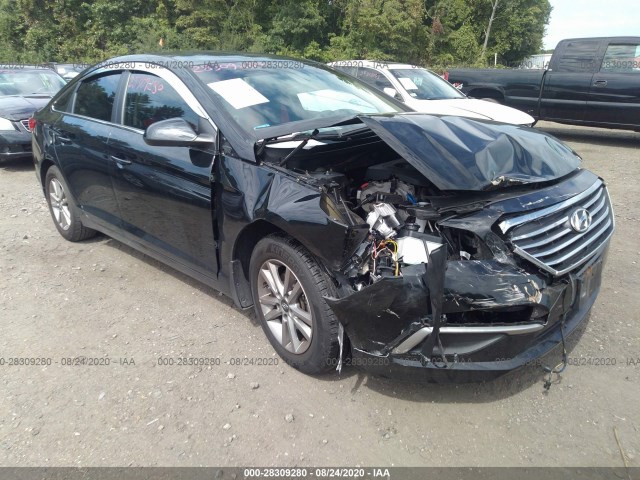 HYUNDAI SONATA 2016 5npe24af0gh294684