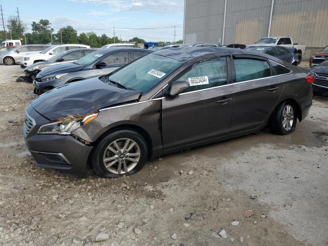 HYUNDAI SONATA SE 2016 5npe24af0gh298833