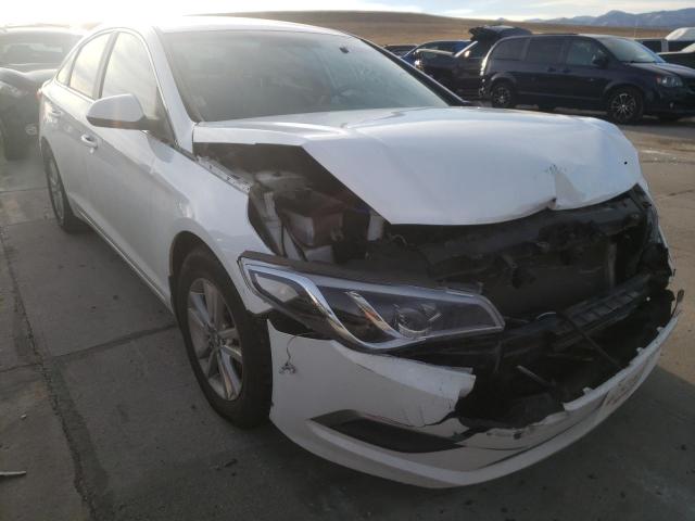 HYUNDAI SONATA SE 2016 5npe24af0gh300323