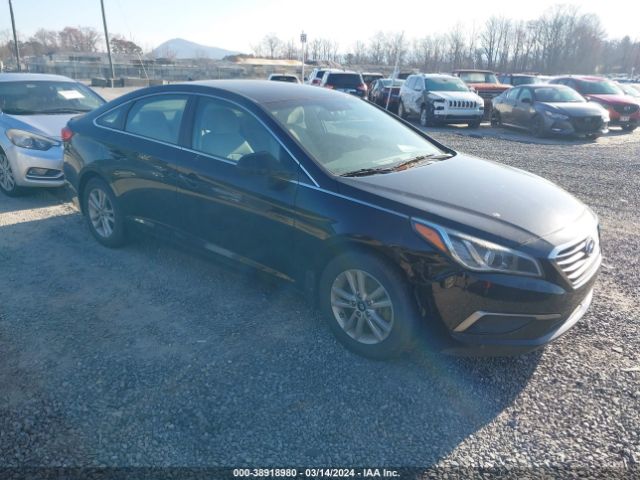 HYUNDAI SONATA 2016 5npe24af0gh303819