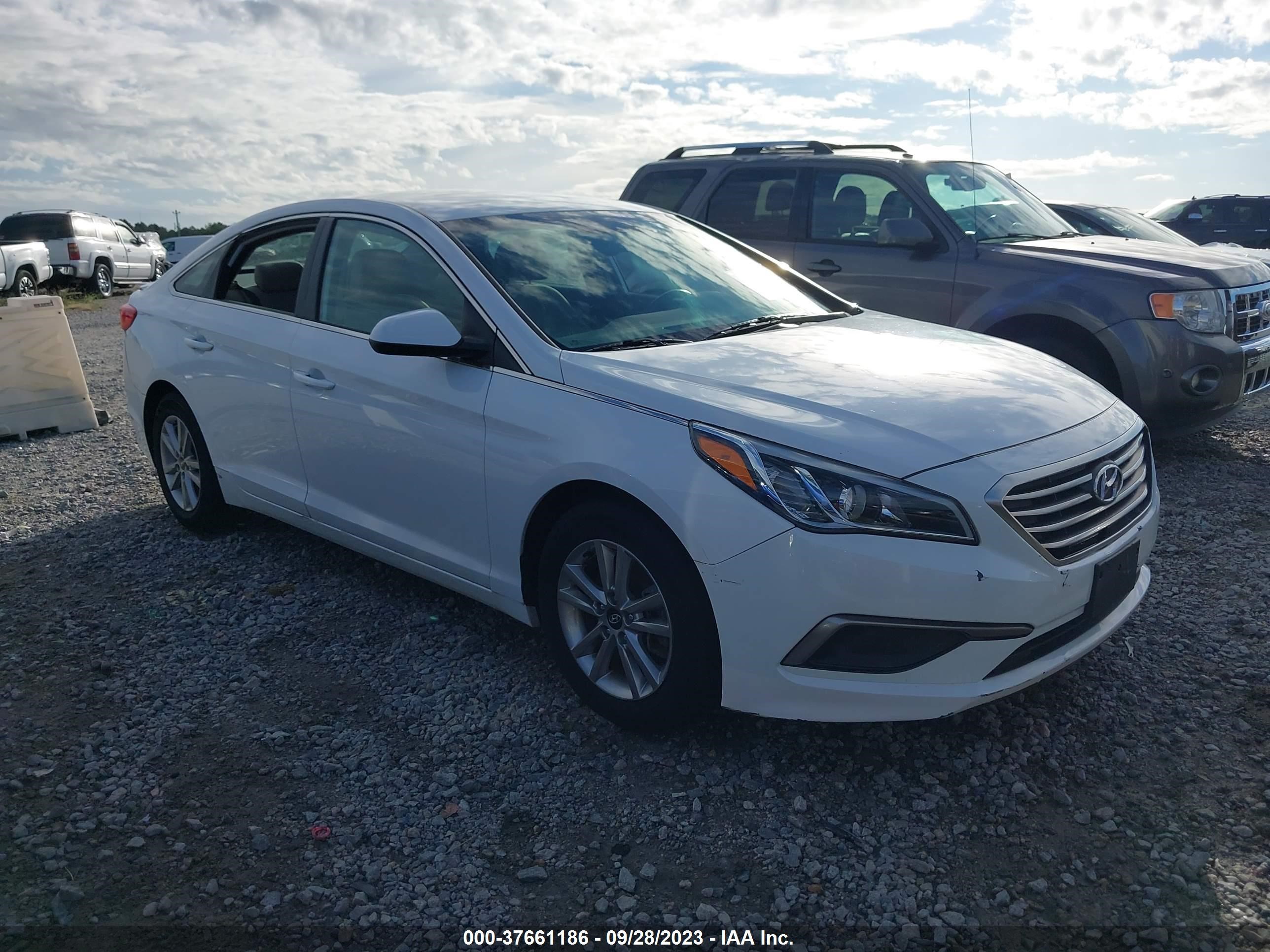 HYUNDAI SONATA 2016 5npe24af0gh304792