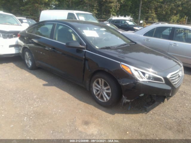 HYUNDAI SONATA 2016 5npe24af0gh308339