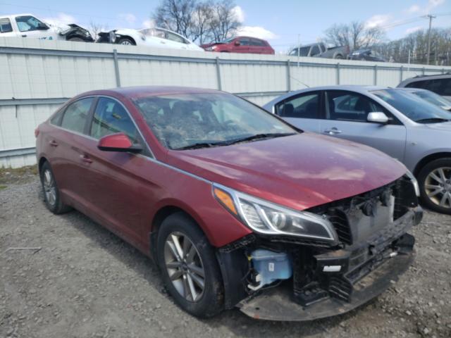 HYUNDAI NULL 2016 5npe24af0gh315016