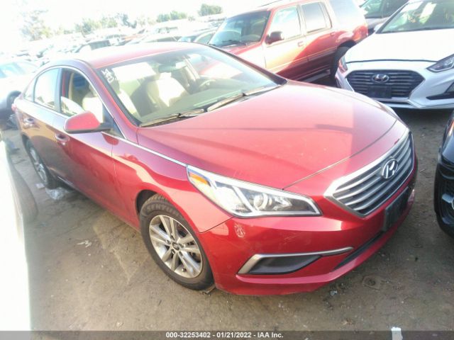 HYUNDAI SONATA 2016 5npe24af0gh315288