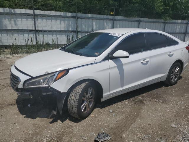 HYUNDAI SONATA 2016 5npe24af0gh329210