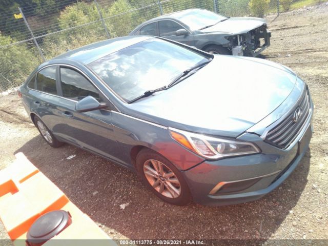 HYUNDAI SONATA 2016 5npe24af0gh336366