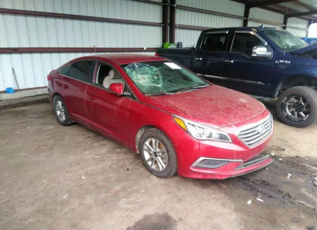 HYUNDAI SONATA 2016 5npe24af0gh338036