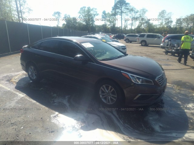 HYUNDAI SONATA 2016 5npe24af0gh339431