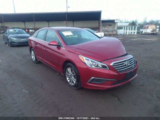 HYUNDAI SONATA 2016 5npe24af0gh340322