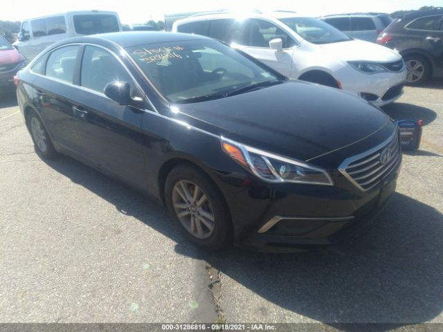 HYUNDAI SONATA 2016 5npe24af0gh340983