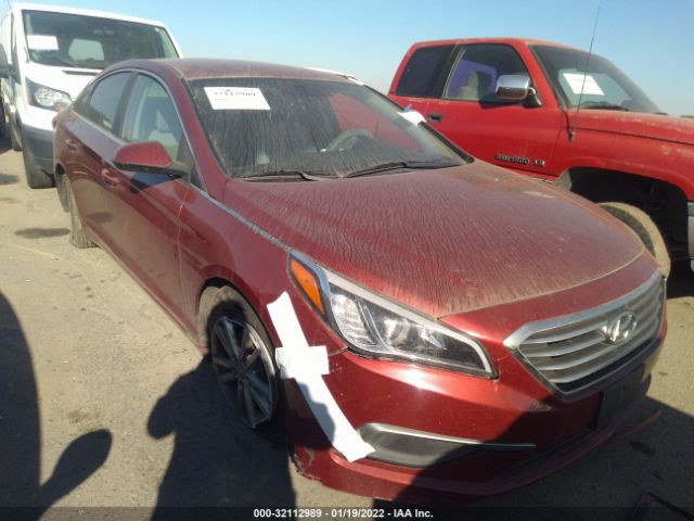 HYUNDAI SONATA 2016 5npe24af0gh345486