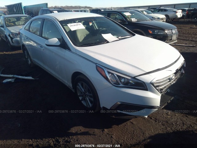 HYUNDAI SONATA 2016 5npe24af0gh351563