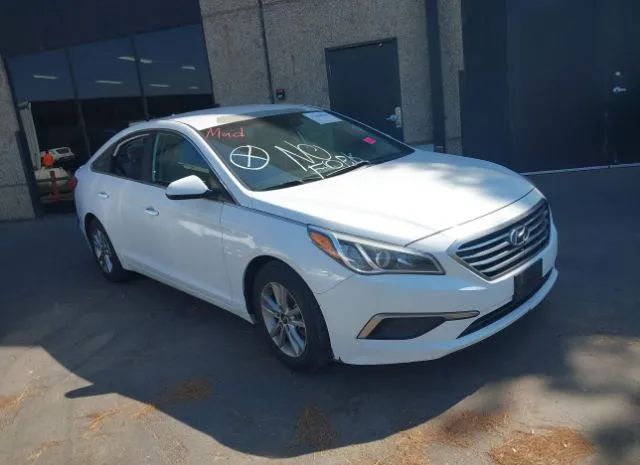 HYUNDAI SONATA 2016 5npe24af0gh352664