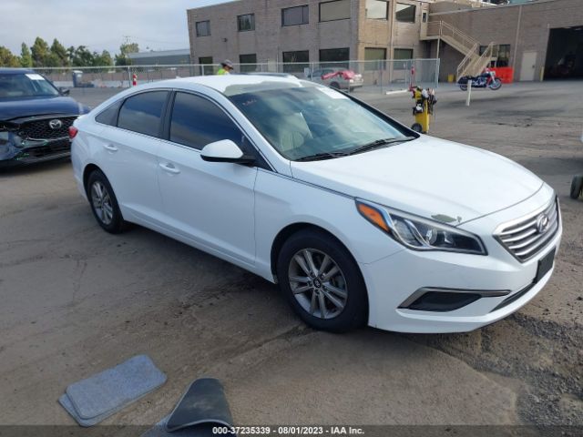 HYUNDAI SONATA 2016 5npe24af0gh355693