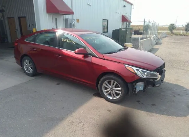 HYUNDAI SONATA 2016 5npe24af0gh361915