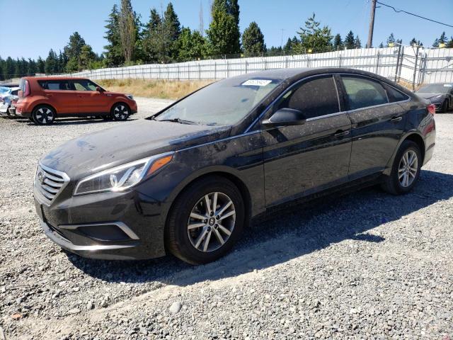 HYUNDAI SONATA SE 2016 5npe24af0gh368265