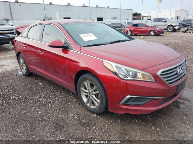 HYUNDAI SONATA 2016 5npe24af0gh377158