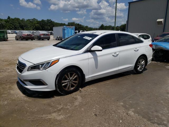 HYUNDAI SONATA 2016 5npe24af0gh379086