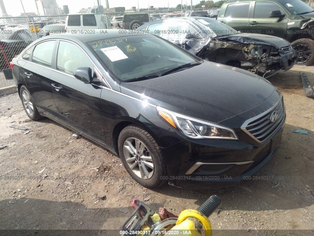 HYUNDAI SONATA 2016 5npe24af0gh384501