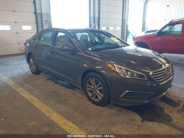 HYUNDAI SONATA 2016 5npe24af0gh394591