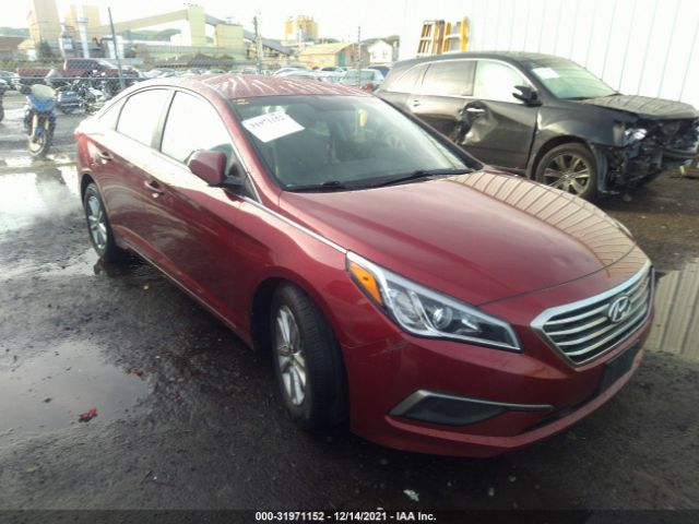 HYUNDAI SONATA 2016 5npe24af0gh398303