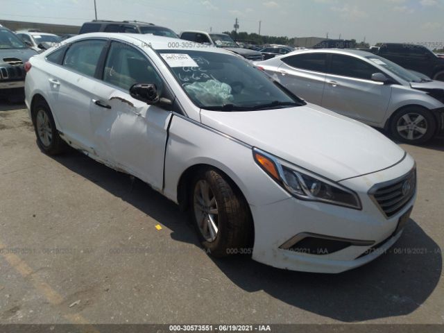 HYUNDAI SONATA 2016 5npe24af0gh409493