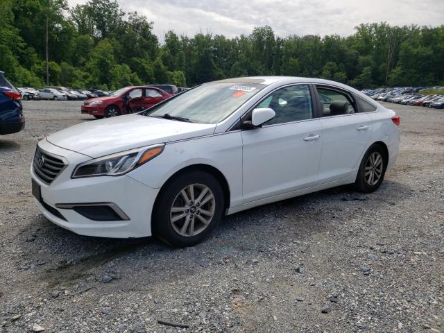 HYUNDAI SONATA SE 2016 5npe24af0gh411535