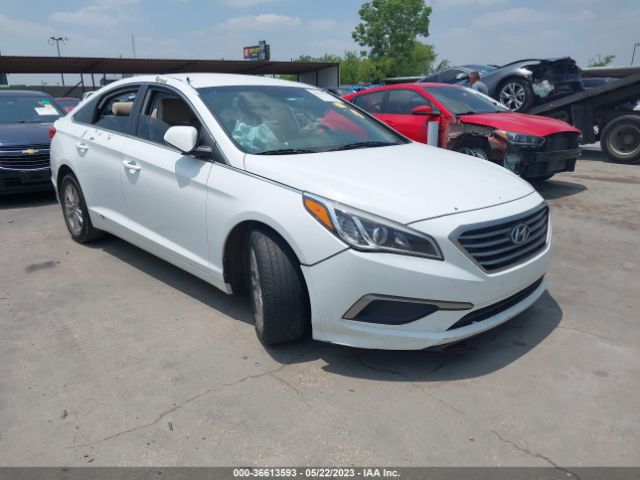 HYUNDAI SONATA 2016 5npe24af0gh412796