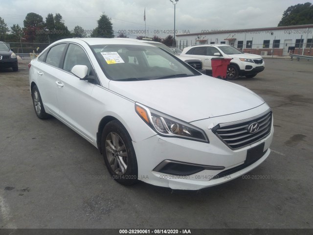 HYUNDAI SONATA 2016 5npe24af0gh420607