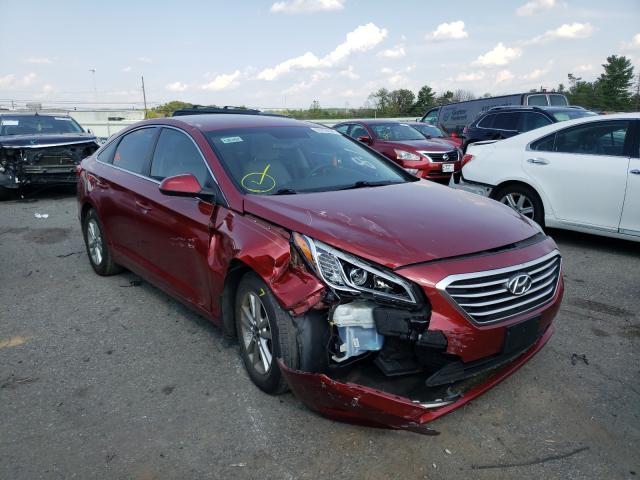 HYUNDAI SONATA SE 2016 5npe24af0gh425998