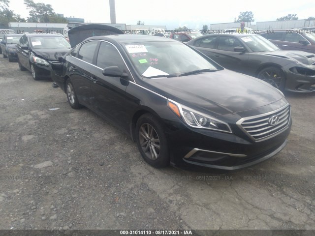 HYUNDAI SONATA 2017 5npe24af0hh437330